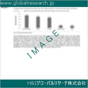 グローバルリサーチ調査資料のイメージ